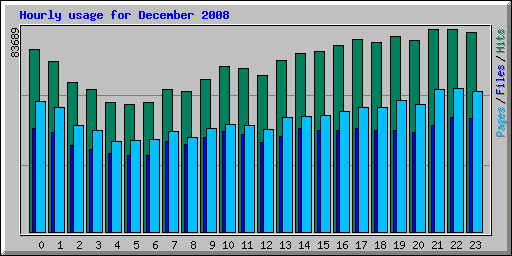 Hourly usage for December 2008