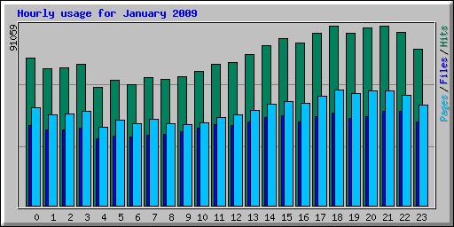 Hourly usage for January 2009