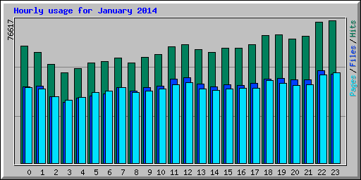 Hourly usage for January 2014
