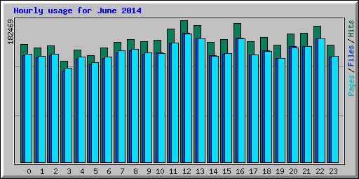 Hourly usage for June 2014