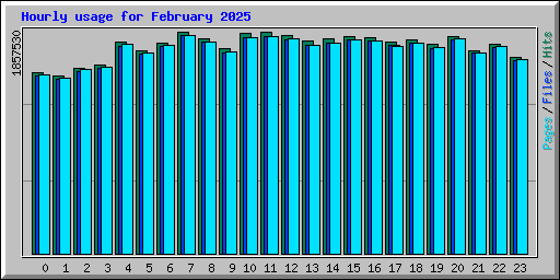 Hourly usage for February 2025
