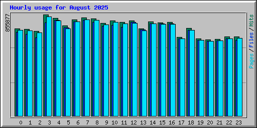 Hourly usage for August 2025