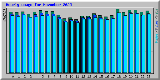 Hourly usage for November 2025