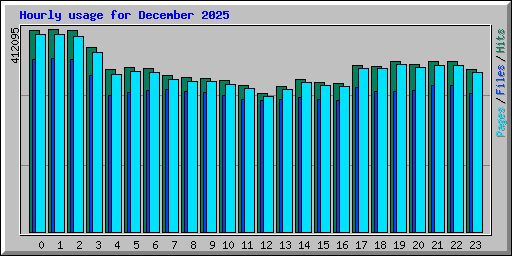 Hourly usage for December 2025